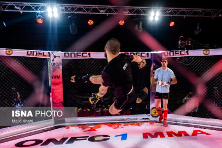 فدراسیون رزمی به‌دنبال مجوز برای حضور زنان در MMA