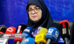 مهاجرانی: ۷۰۰ کیلوگرم شمش طلای استاندارد وارد خواهد شد 