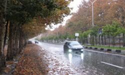 شیراز آماده فصل بارندگی است/ آغاز مطالعات بازنگری آبرسانی باغات قصردشت