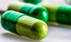 استانداردسازی داروهای گیاهی شرط توسعه طب سنتی در کشور
