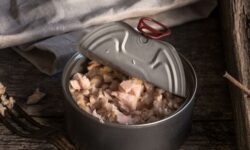 آیا خوردن روزانه ماهی تُن بی‌خطر است؟