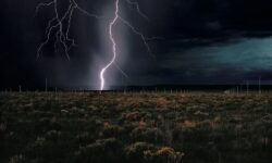 برترین آثار هنری که ۲۰۲۵ به نمایش درآمدند
