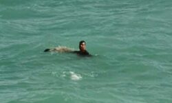 جان باختن ۳ نوجوان در آب‌های ساحلی بندر گناوه