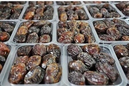 ضرورت اجرایی شدن قرارداد مزرعه صادرات خرما در استان بوشهر