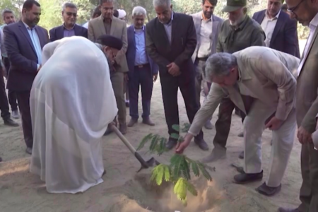 آغاز کشت نهال در استان بوشهر در طرح کاشت یک میلیارد درخت