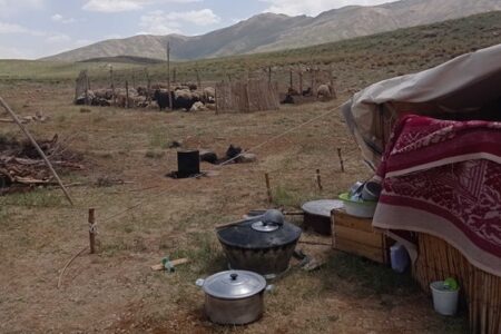 سهم ناچیز عشایر بوشهر از توزیع اعتبارات استانی