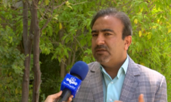 اهدای عضو ۲ بیمار مرگ مغزی در بوشهر