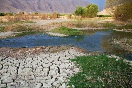 کاهش ۵۰ درصدی بارندگی در استان بوشهر