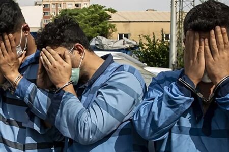 سارقان و مالخران سیم برق در دشتستان دستگیر شدند