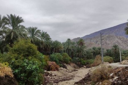 آسمان بارانی استان بوشهر در اواسط هفته