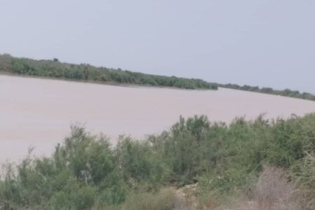 براثر بارش‌های چند روز گذشته تالاب حله شهرستان بوشهر جانی تازه گرفت