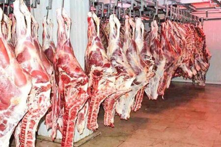 مافیا به دنبال گران کردن گوشت قرمز است؟