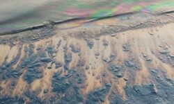 نشت نفت در چهار مایلی جزیره خارگ/ پاکسازی آغاز شد