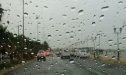 آسمان بوشهر بارانی شد