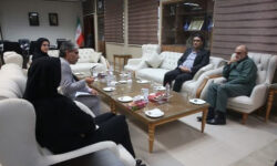 طراحی دولتشهر برای استقرار دستگاههای اجرایی بوشهر