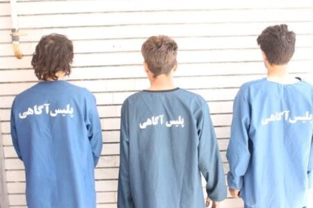 انهدام باند حرفه‌ای سارقان خودرو در بوشهر