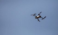 شماری در ارتباط با پرونده ریزپرنده‌ها در استان بوشهر دستگیر شدند