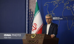 تکذیب ادعای نیویورک‌تایمز درباره تماس ایلان ماسک با ایروانی