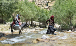 ضرورت توانمندسازی زنان روستا در حفاظت از منابع طبیعی