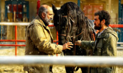 کارگردان «ناتوردشت» به مردم نامه نوشت