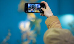 ویدیو/ «تاکسیدرمی» یک کمدی دهه پنجاهی