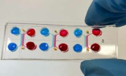 این تراشه، کارآیی درمان سرطان را پیشبینی میکند