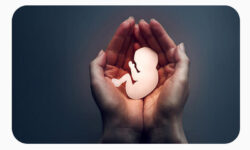 فعالیت مجدد سامانه ۴۰۳۰ با موضوع کاهش سقط جنین/ برقراری بیش از ۳۰۰۰ تماس در طول یک ماه