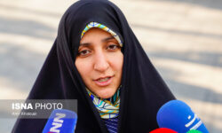 حمایت معاون رئیس‌جمهور از سازمان‌های مردم نهاد در عرصه بین‌المللی و داخلی