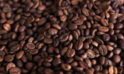 قهوه‌های آینده تلخ‌تر می‌شود