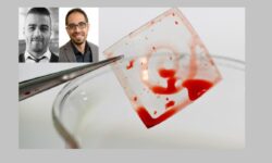 ابتکار دانشمندان ایرانی «دانشگاه سیدنی» برای جلوگیری از لخته شدن خون