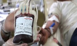 معاون سازمان انتقال خون: مشکلی در تامین خون در کشور وجود ندارد