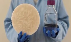 استخراج روزانه ۱۴ لیتر آب آشامیدنی از هوا با یک روش جدید