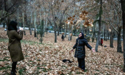 امنیت زنان در پارک‌ها؛ راه‌حل‌هایی برای حضور بی‌دغدغه