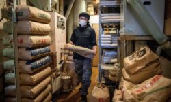 افزایش هشت برابری صادرات برنج ژاپن