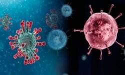 موج خفیف عفونت‌های تنفسی در ابتدای بهار / چرخش کمتر کرونا نسبت به آنفلوآنزا