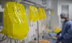 نقش سیگار و الکل در تشدید خطر نوعی سرطان در زنان