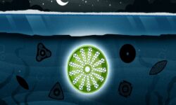 چگونه زندگی در تاریک‌ترین شرایط ادامه می‌یابد؟