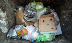 یک بطری آب به قیمت جان حیات وحش