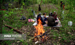 حفظ محیط‌زیست در روز طبیعت نیازمند مشارکت جمعی است