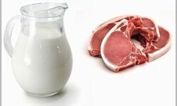 آوردن کالای گوشتی و لبنی همراه مسافران به انگلیس ممنوع شد