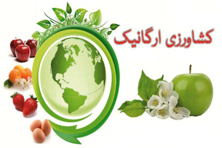 محصولات ارگانیک؛ از چالش گرانی تا فرصت‌های صادراتی در بازار جهانی