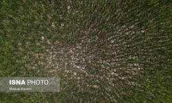 چهار ماه مانده به پایان سال آبی؛ مواجهه هرمزگان و سیستان و بلوچستان با کاهش حدود ۷۵ درصدی بارش