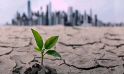 زنگ خطر خشکسالی در تهران؛ وقتی مصرف، از ذخایر پیشی می‌گیرد