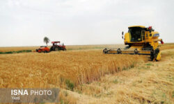 خودکفایی کشاورزی در خراسان جنوبی؛ چالشها و دستاوردها در سایه خشکسالی