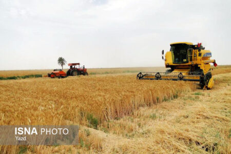 خودکفایی کشاورزی در خراسان جنوبی؛ چالش‌ها و دستاوردها در سایه خشکسالی
