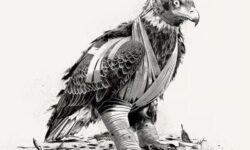 ترامپ با آمریکا چه کرده است؟