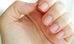 سبزیجات برگ‌دار تیره چگونه به سلامت و رشد ناخن‌ها کمک می‌کنند؟