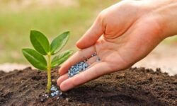 رقابت با اروپا و آمریکا در زمین کشاورزی زیستی