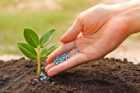 رقابت با اروپا و آمریکا در زمین کشاورزی زیستی