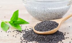 در روزهای گرم شربت «تخم‌شربتی» بنوشید